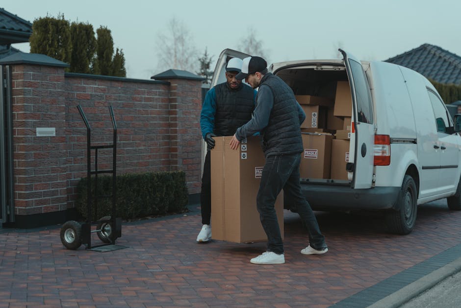 Two men are engaged in a home relocation process, inside a paved driveway of a residential property with a brick wall and hedges in the background. One man, wearing a black quilted vest and dark jeans, is lifting or stabilising a large cardboard box, while the other, dressed in a blue and black jacket with white trainers, is assisting by supporting the box from the opposite side. The open rear doors of a white delivery van reveal numerous packed cardboard boxes organized inside, indicating a packing and moving operation. Nearby, a two-wheeled hand truck with a black handle and wheels stands on the driveway, ready for furniture transport or loading tasks. The scene suggests a professional removals service, such as Man with Van Harrow, handling a house move with attention to secure packing and efficient loading, suitable for tight access situations as discussed in the Wealdstone man with van insider tips for tight access, HARROW.